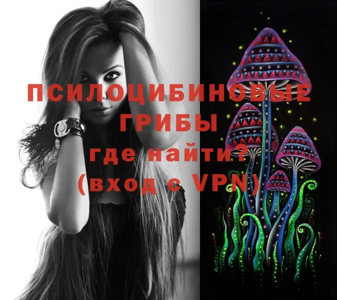 KRAKEN как войти  Ржев  Галлюциногенные грибы MAGIC MUSHROOMS 